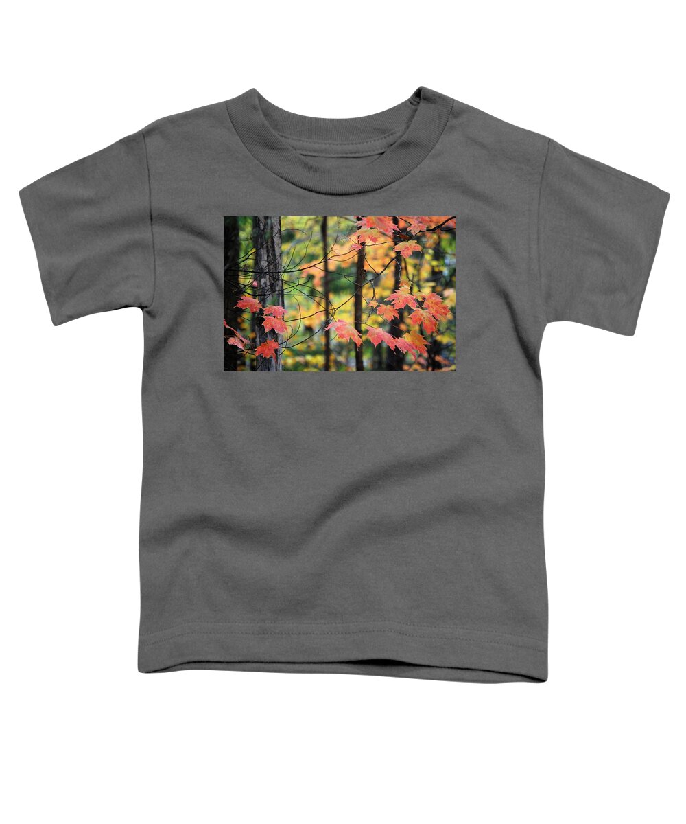 Leaves Toddler T-Shirt featuring the photograph Stringing Up the Colors by Sonja Jones