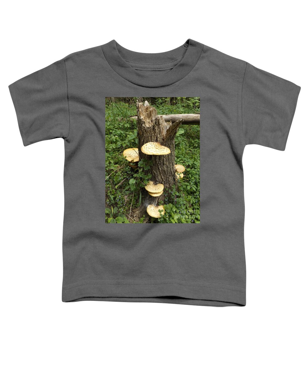 Nature Toddler T-Shirt featuring the photograph Stump with Mushrooms by Erick Schmidt