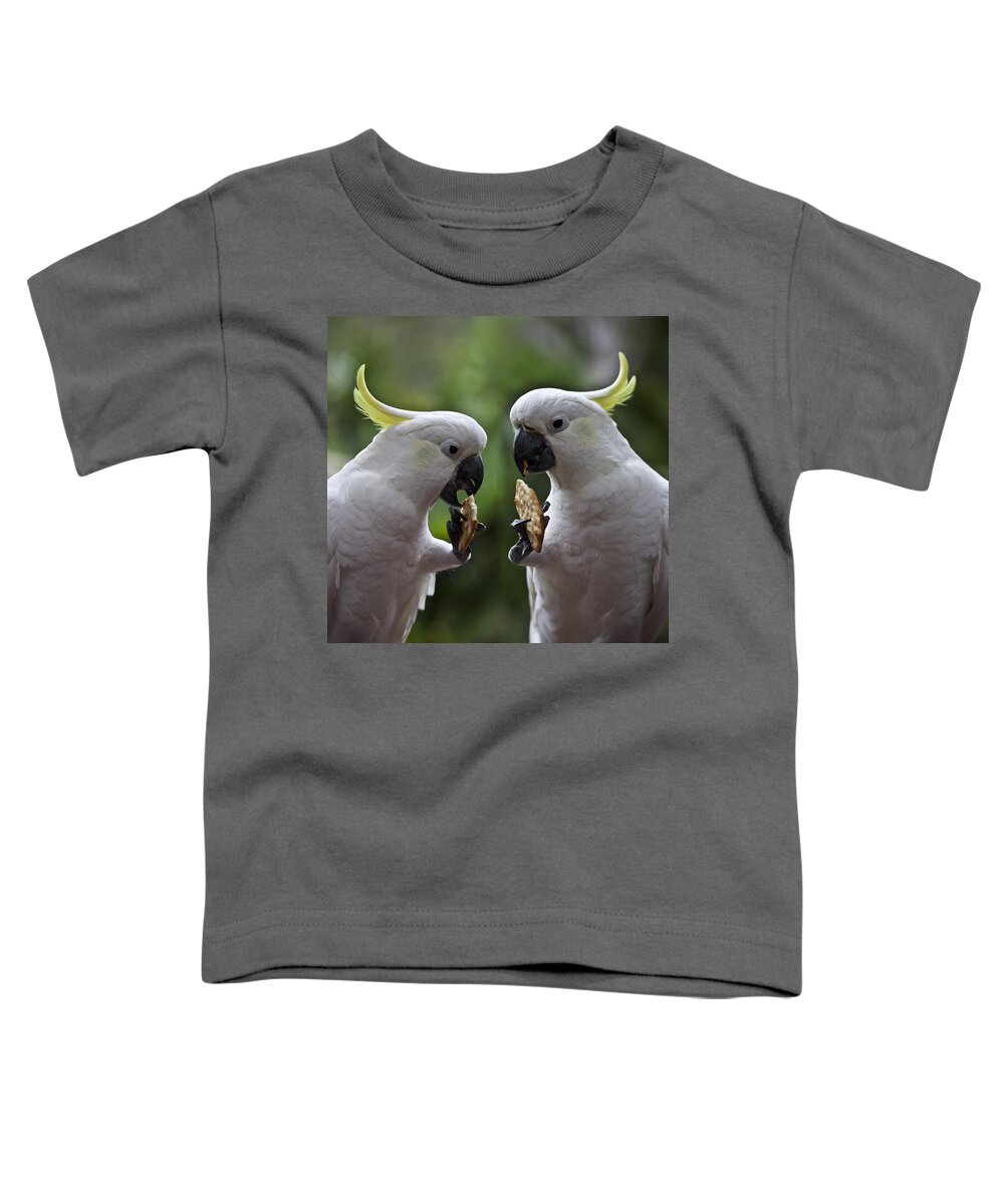 Sulphur Crested Cockatoo Toddler T-Shirt featuring the photograph Sulphur crested cockatoo pair by Sheila Smart Fine Art Photography