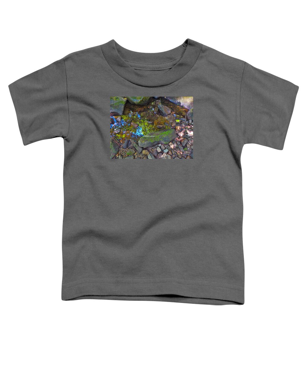 Landscape Toddler T-Shirt featuring the photograph Summer B2015 161 by George Ramos