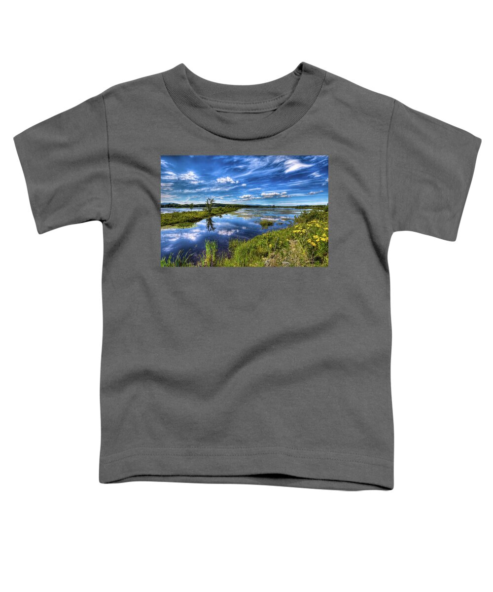 Landscape Toddler T-Shirt featuring the photograph Summer Flowers on Tupper Lake by David Patterson