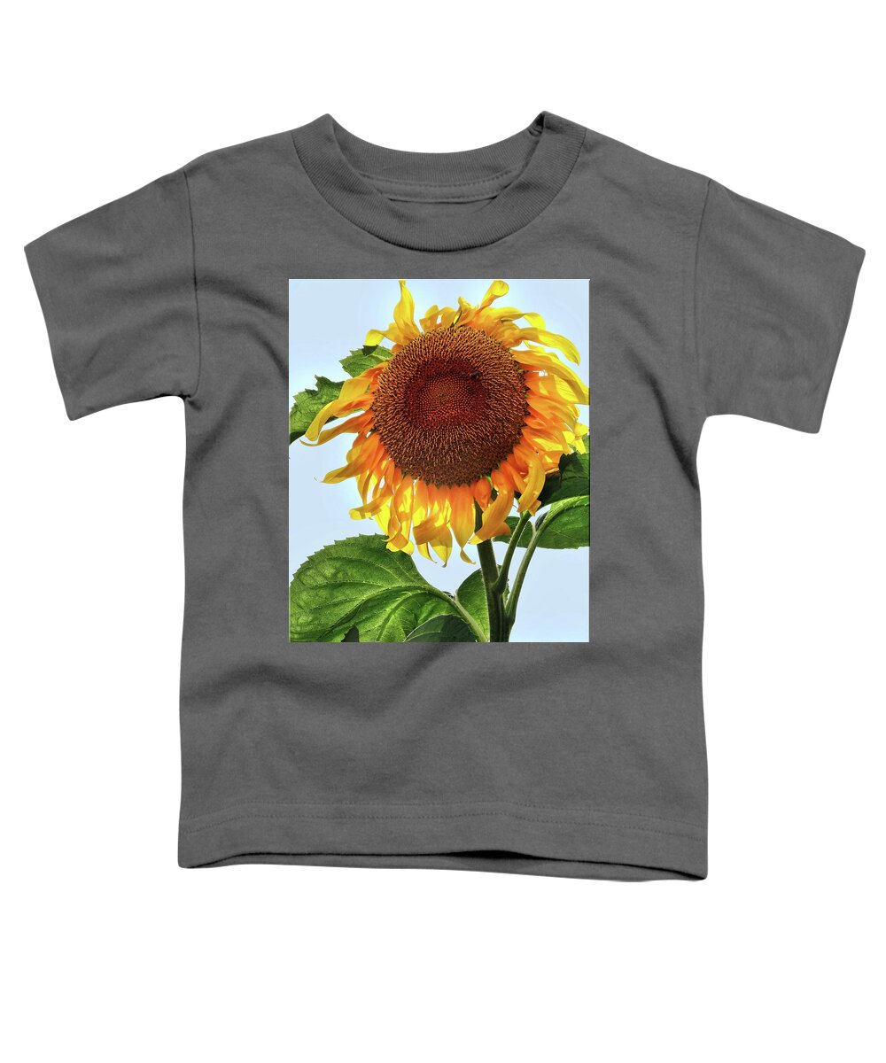 Floral Toddler T-Shirt featuring the photograph Summer sunflower by Mikki Cucuzzo