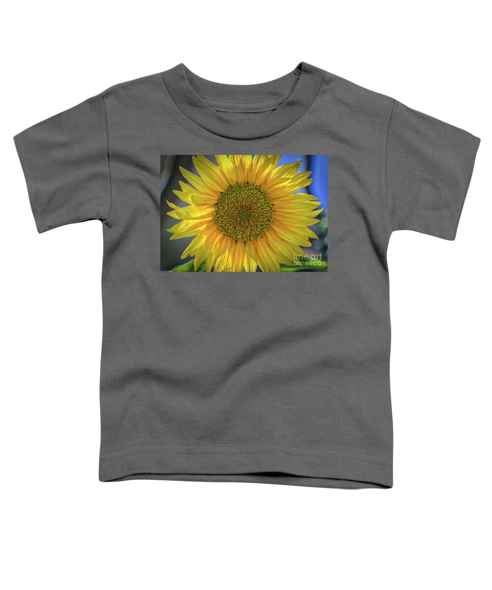 Summer Sunflower Toddler T-Shirt featuring the photograph Summer Sunflower by Mitch Shindelbower