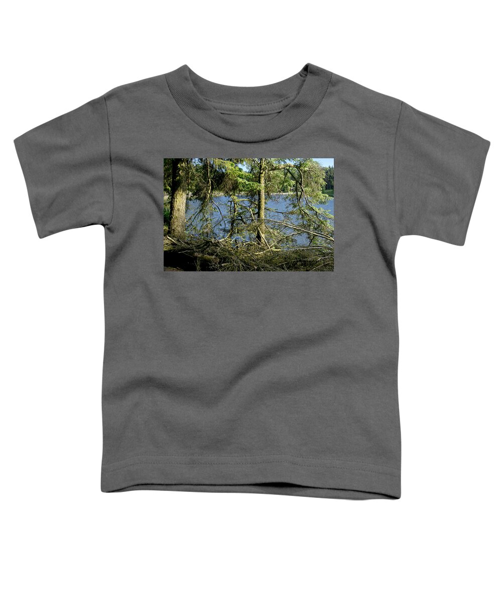 Beecraigs Toddler T-Shirt featuring the photograph Sun of the loch afternoon. by Elena Perelman