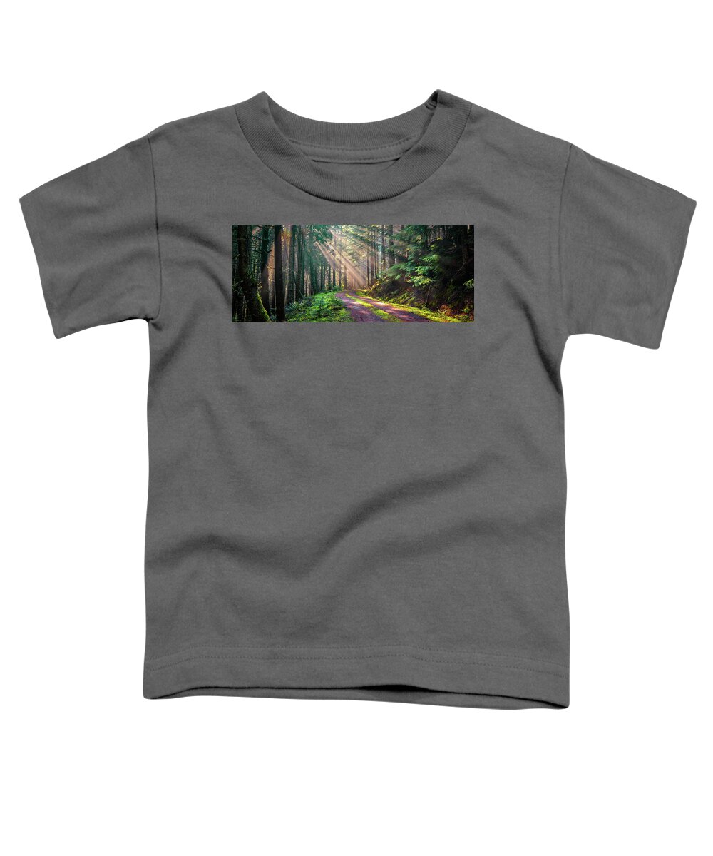Landscape Toddler T-Shirt featuring the photograph Sunbeams in Trees by Jason Brooks