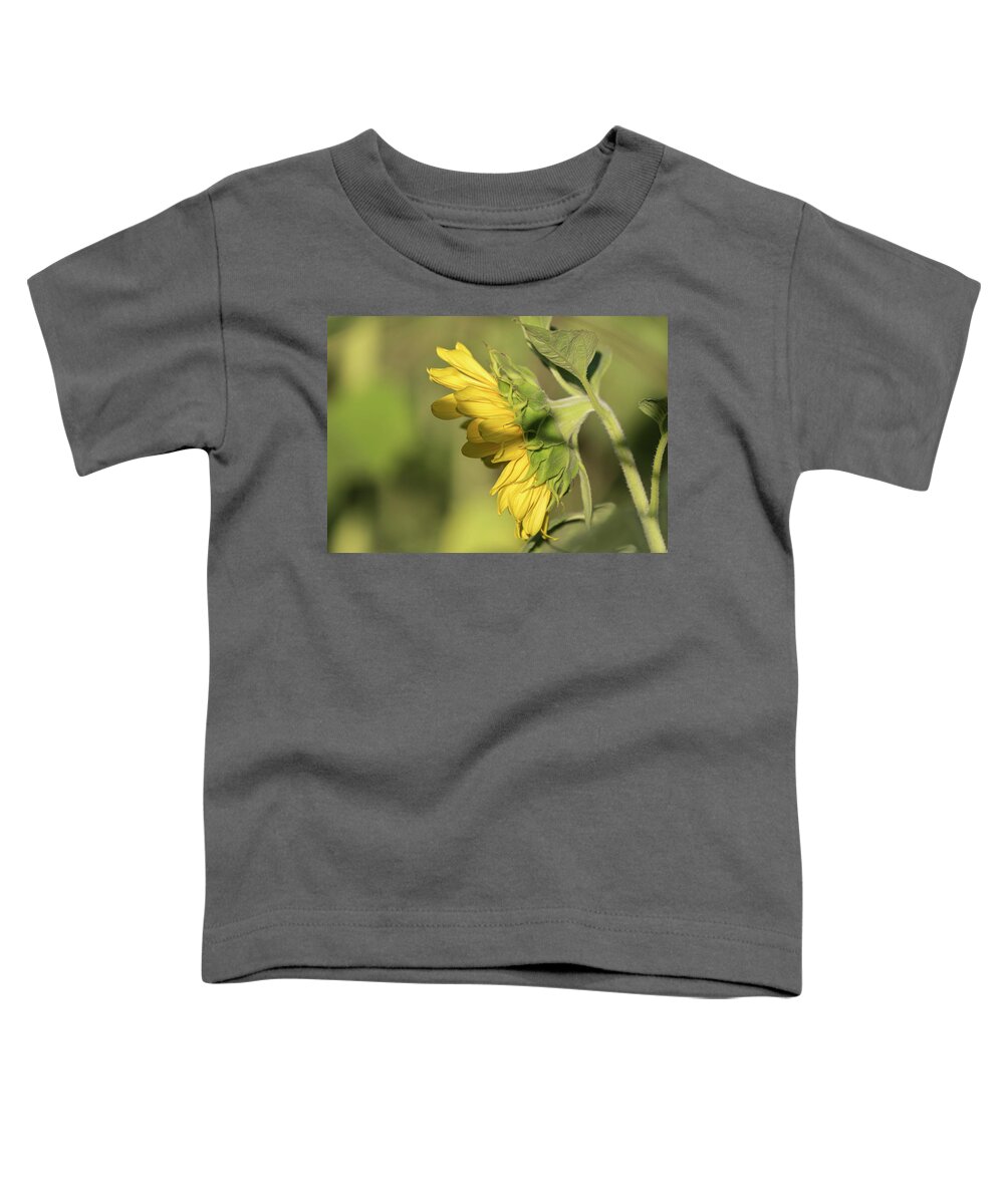 Sunflower Toddler T-Shirt featuring the photograph Sunflower 2016-1 by Thomas Young