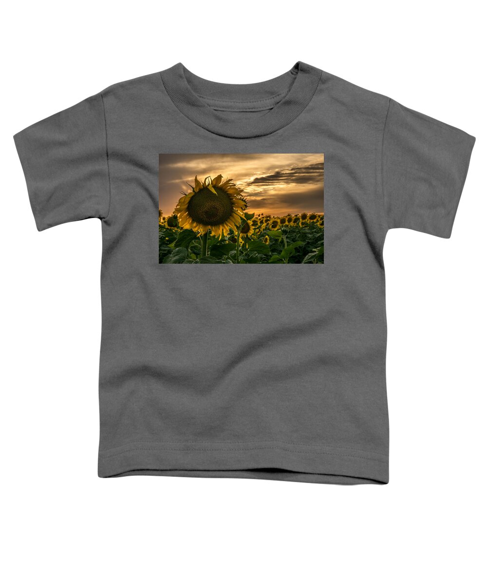 Sunflowers At Sunset Toddler T-Shirt featuring the photograph Sunflowers at Sunset by Elizabeth Waitinas