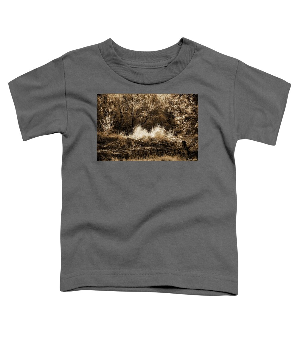 New Mexico Toddler T-Shirt featuring the photograph Sunlit Beauty by Michael McKenney