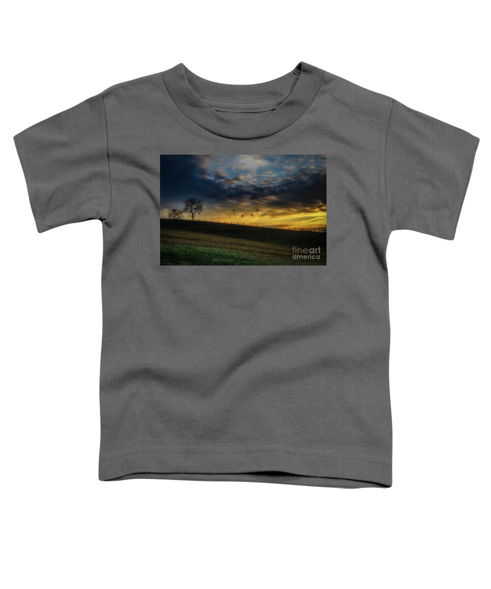 Pasture Field Toddler T-Shirt featuring the photograph Sunrise Flight by Thomas R Fletcher