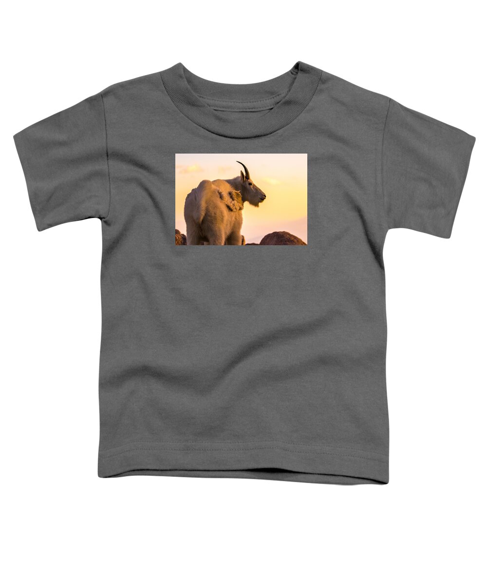 Mountain Goat Toddler T-Shirt featuring the photograph Sunrise on the Mountain #1 by Mindy Musick King