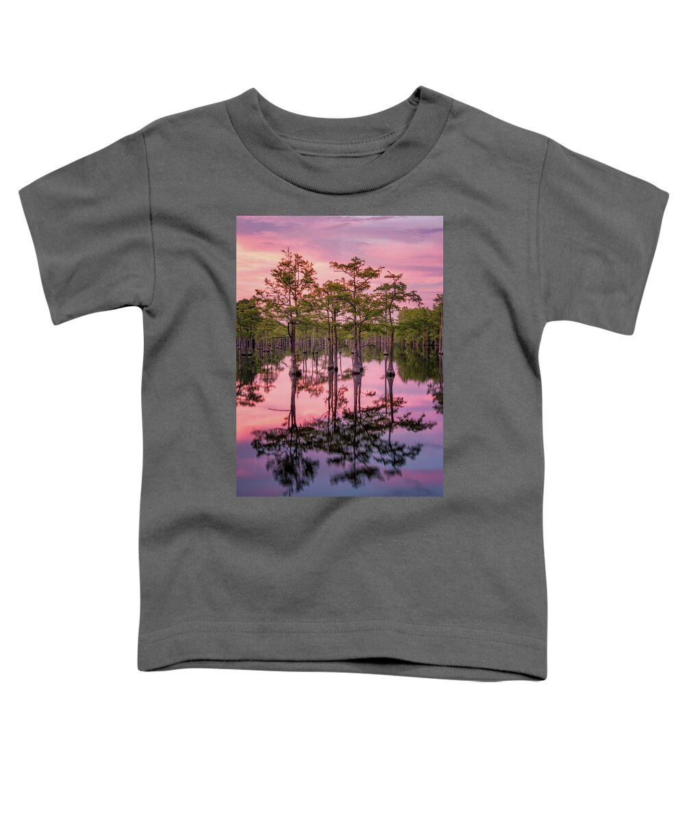 Abstract Toddler T-Shirt featuring the photograph Sunset at the Swamp by Alex Mironyuk