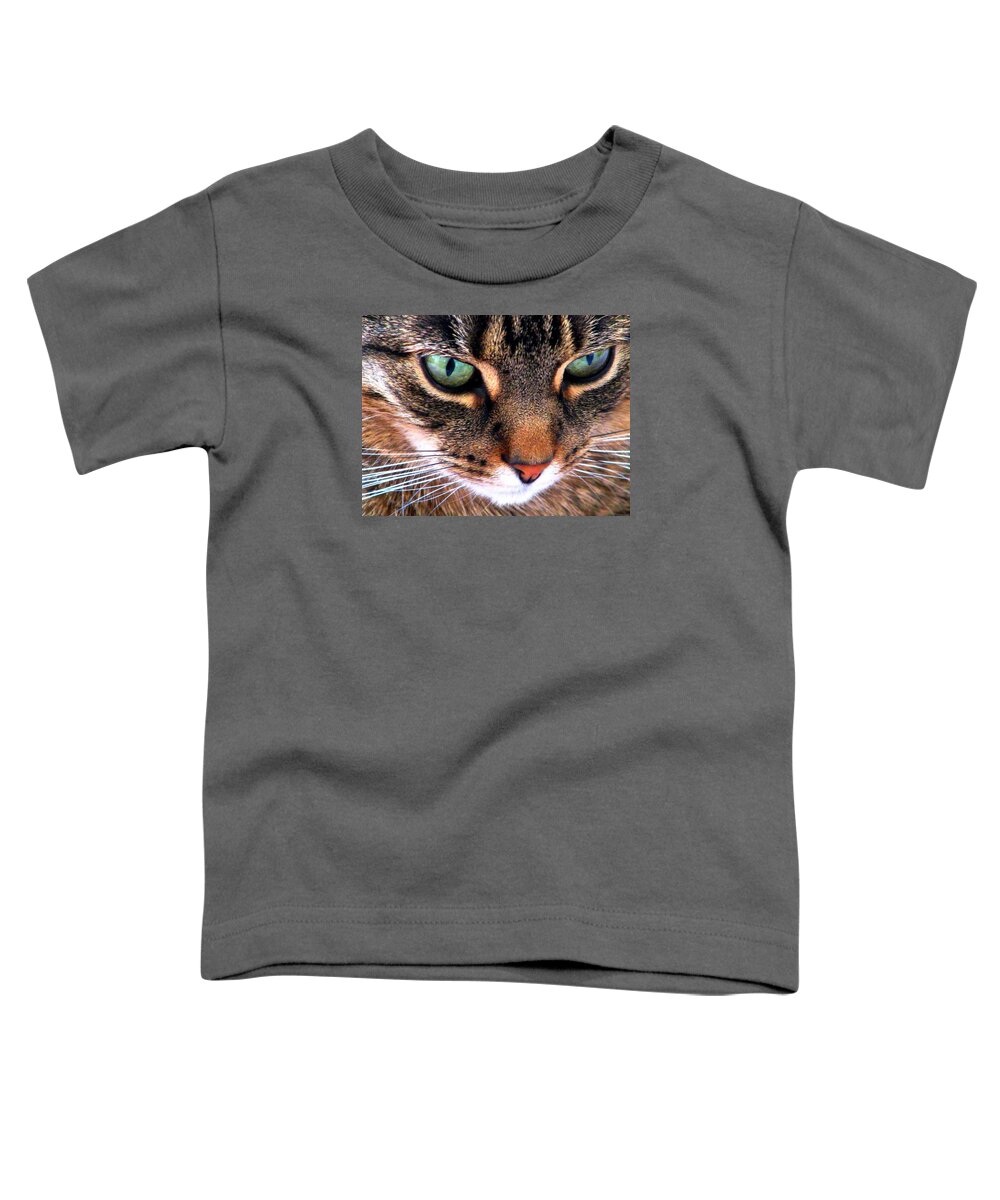 Cats Toddler T-Shirt featuring the photograph Surmising by Angela Davies