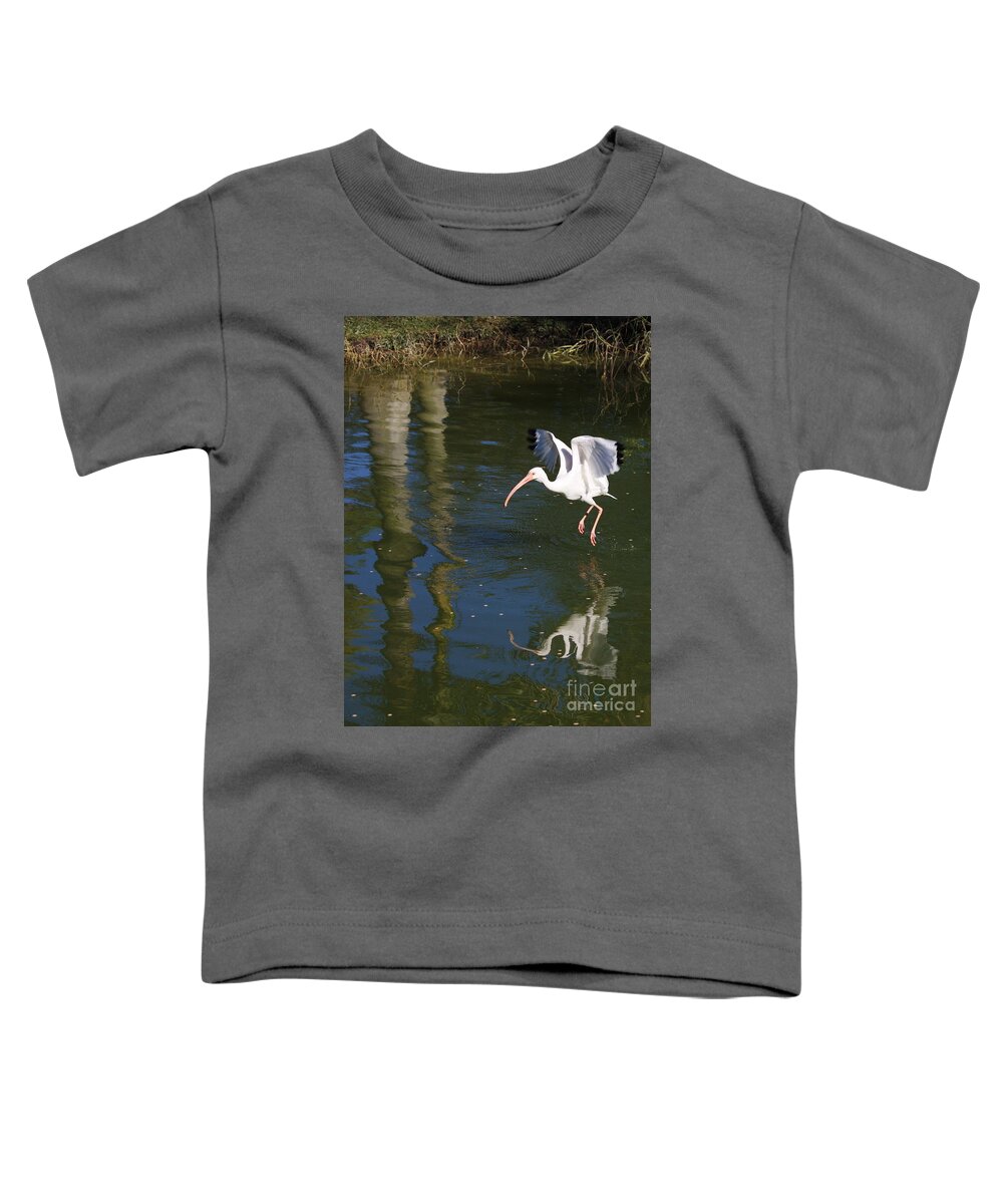 Flight Toddler T-Shirt featuring the photograph Suspended in Flight by Carol Groenen