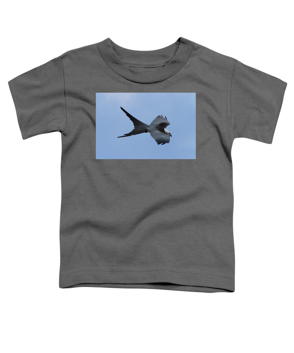 Swallow-tailed Kite Toddler T-Shirt featuring the photograph Swallow-tailed Kite #1 by Paul Rebmann