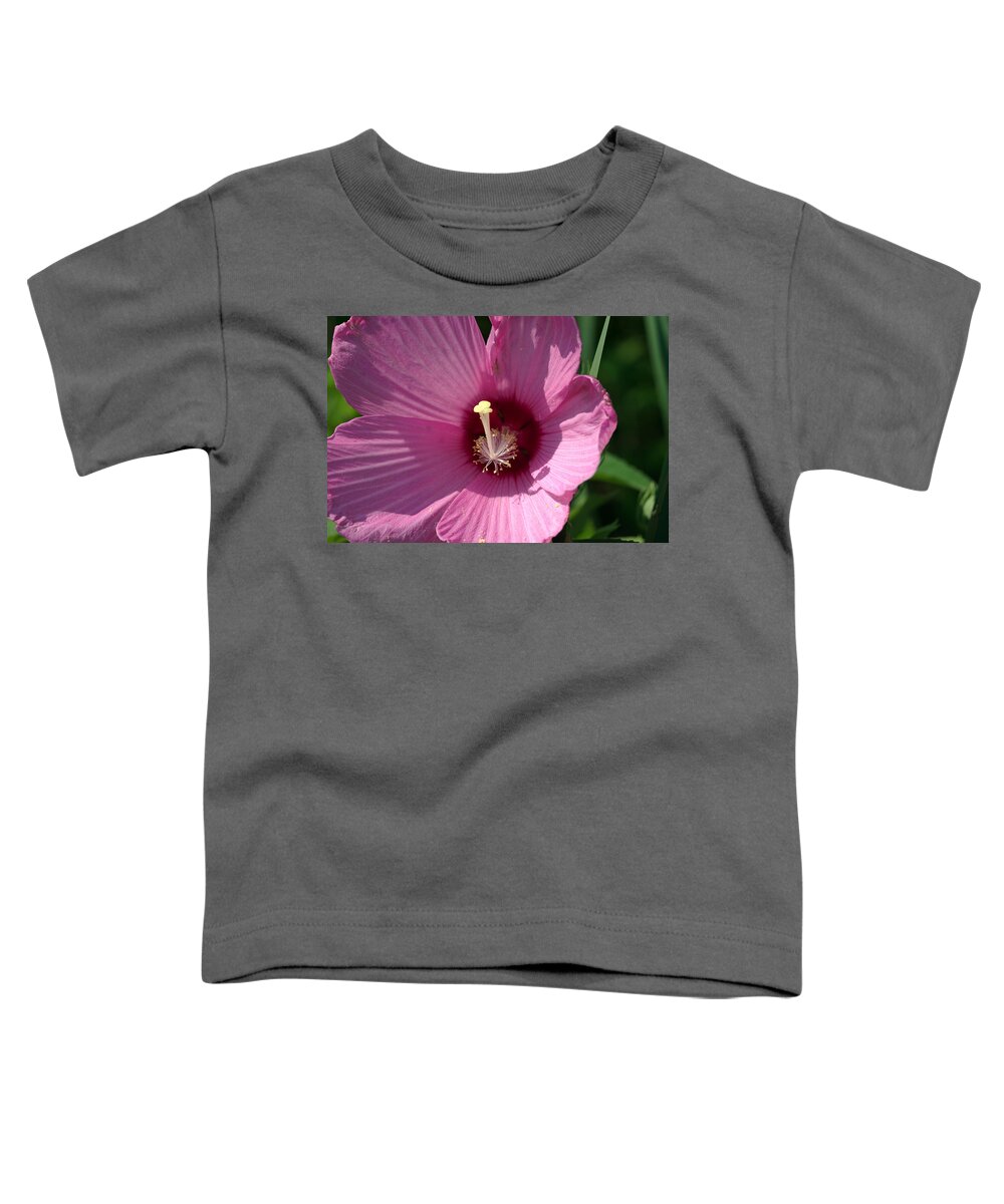 Aroma Toddler T-Shirt featuring the photograph Swamp Rose Mallow by Jack R Perry