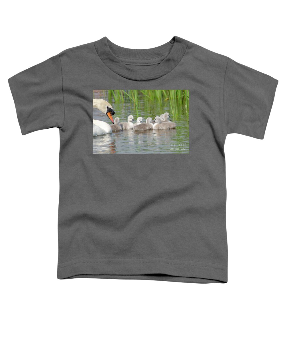 Swan Toddler T-Shirt featuring the photograph Swan and cygnets by Steev Stamford