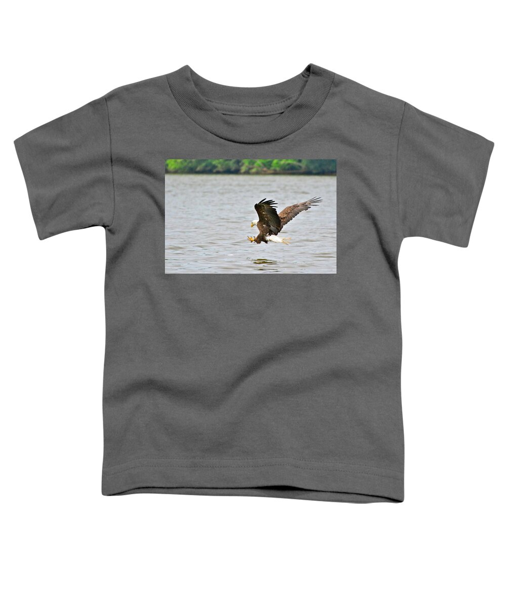 Bald Eagle Toddler T-Shirt featuring the photograph Target in Sight by Don Mercer