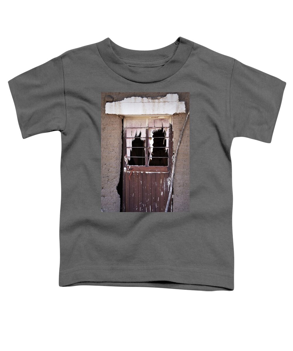 Mexico Toddler T-Shirt featuring the photograph Tattered Curtains by Nadalyn Larsen