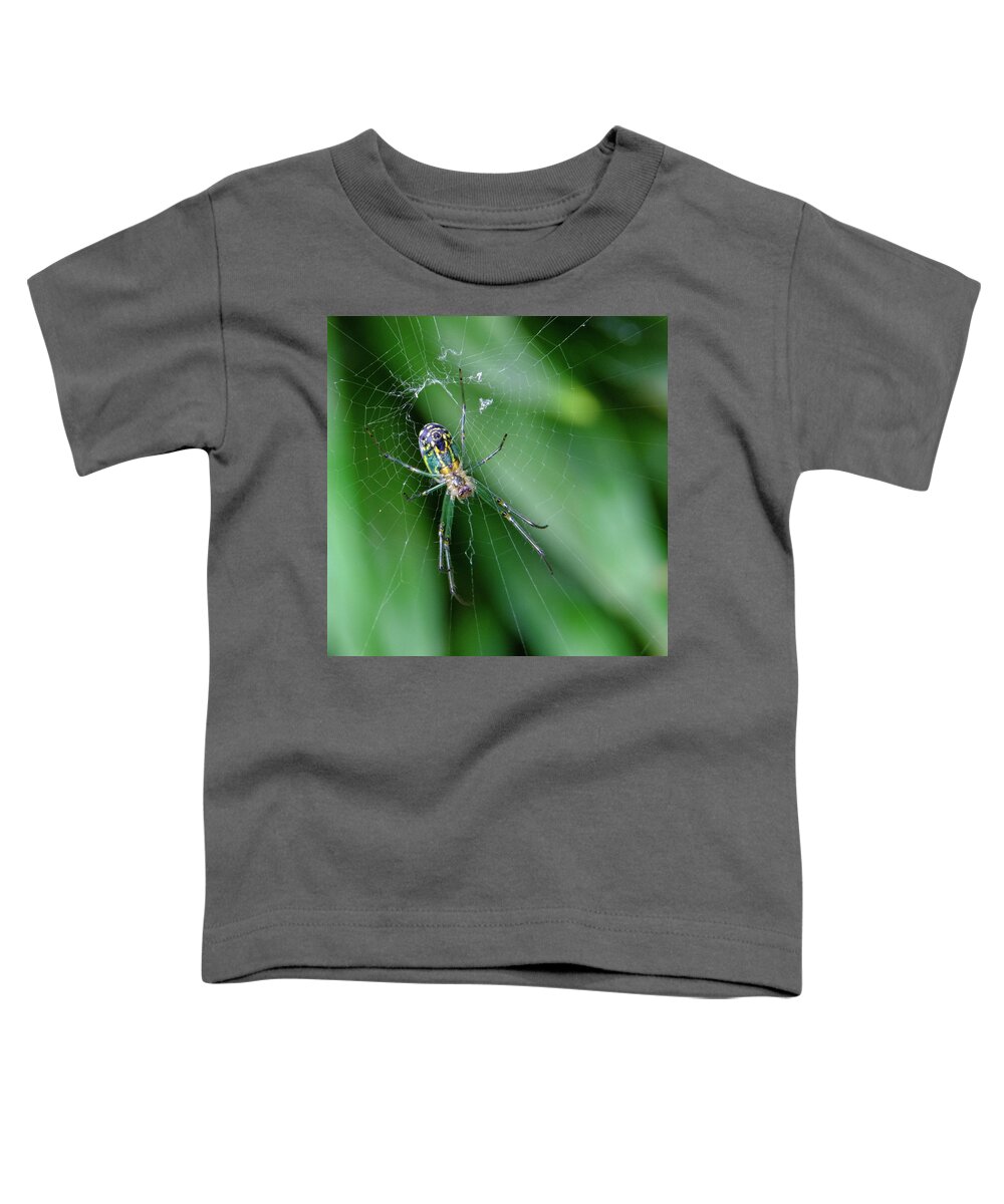 Basilica Orb Weaver Spider Toddler T-Shirt featuring the photograph Technicolor Spider by Georgette Grossman