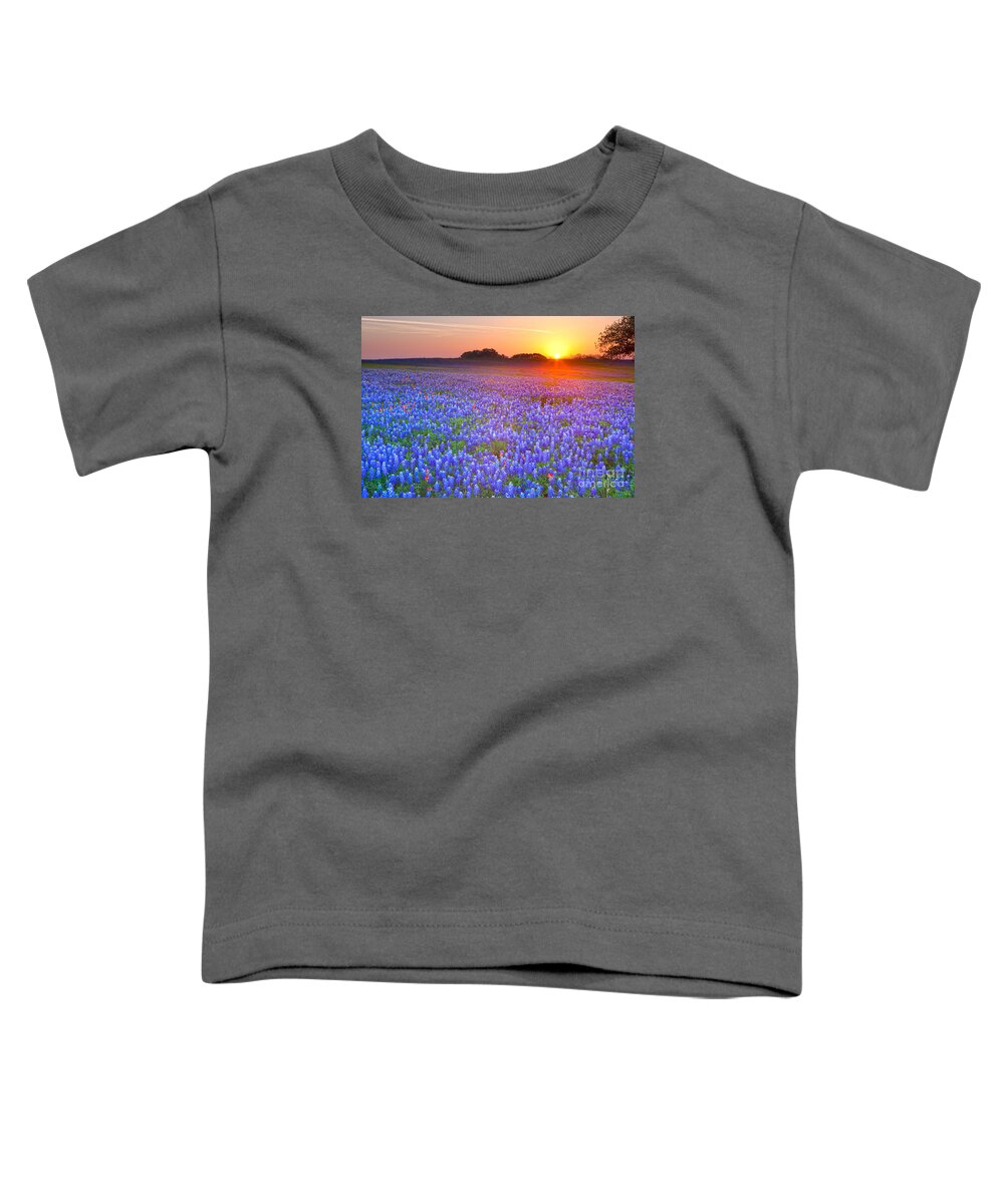 Texas Blue Bonnets Toddler T-Shirt featuring the photograph Texas bluebonnets by Keith Kapple