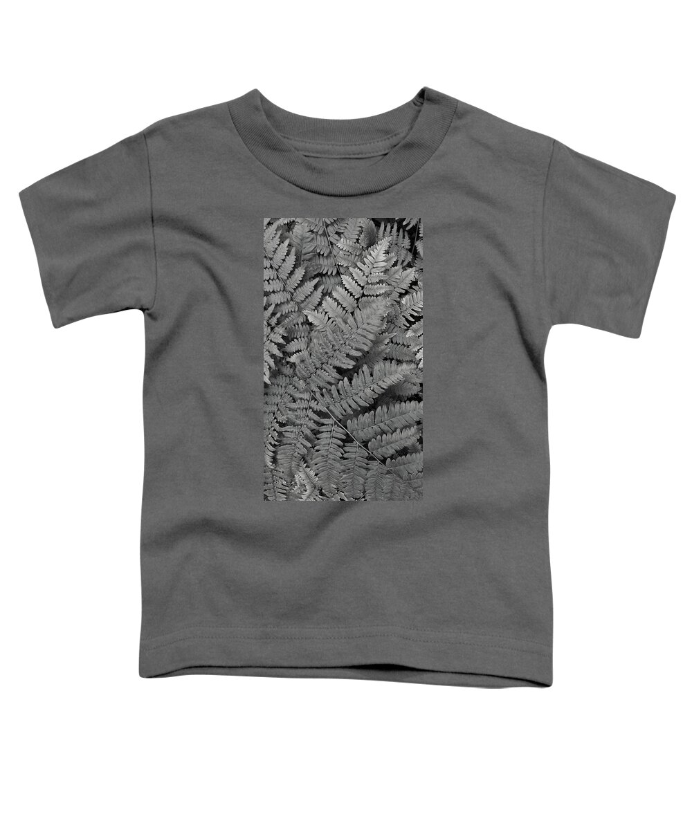 Fern Toddler T-Shirt featuring the photograph Textures of the Forest by Holly Ross