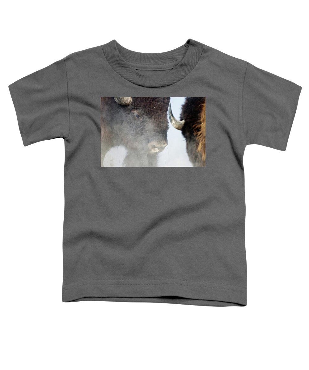 Bison Toddler T-Shirt featuring the photograph The Battle by Eilish Palmer