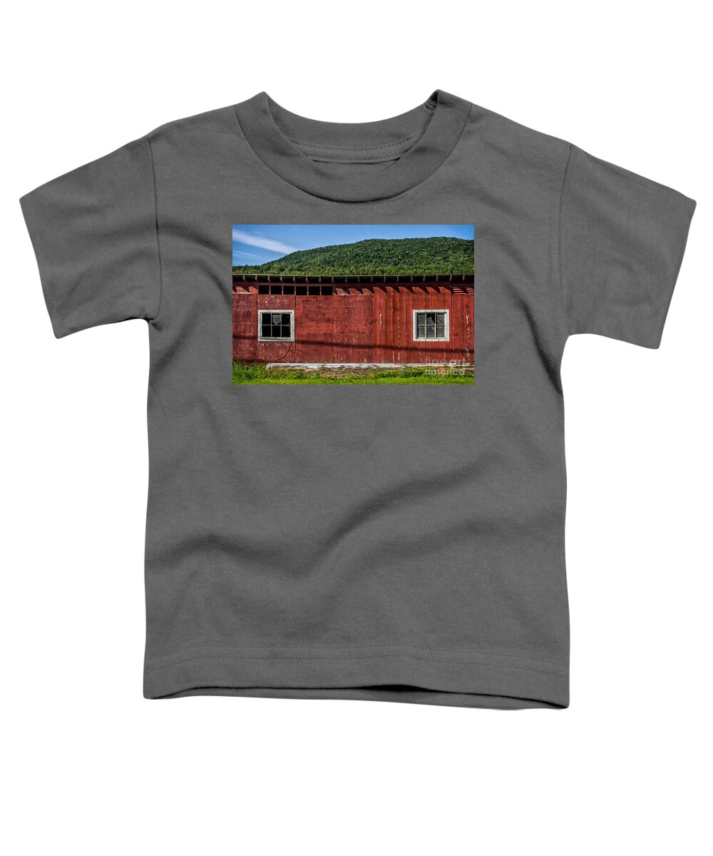 Farm Toddler T-Shirt featuring the photograph The Broadside of a Barn by James Aiken