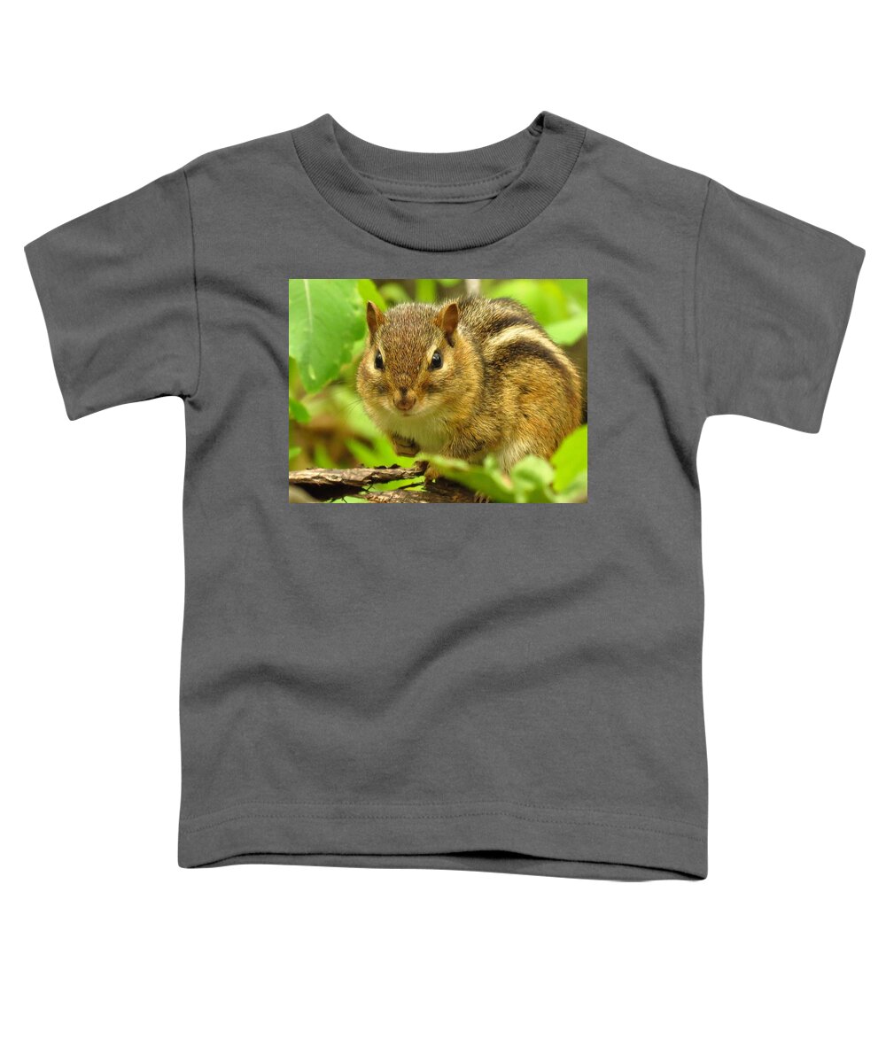 Chipmunk Toddler T-Shirt featuring the photograph The Chipster by Lori Frisch