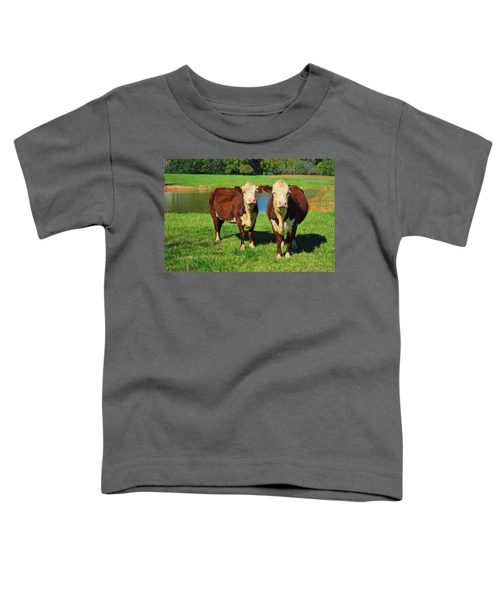 Hereford Toddler T-Shirt featuring the photograph The Cow Girls by Sandi OReilly