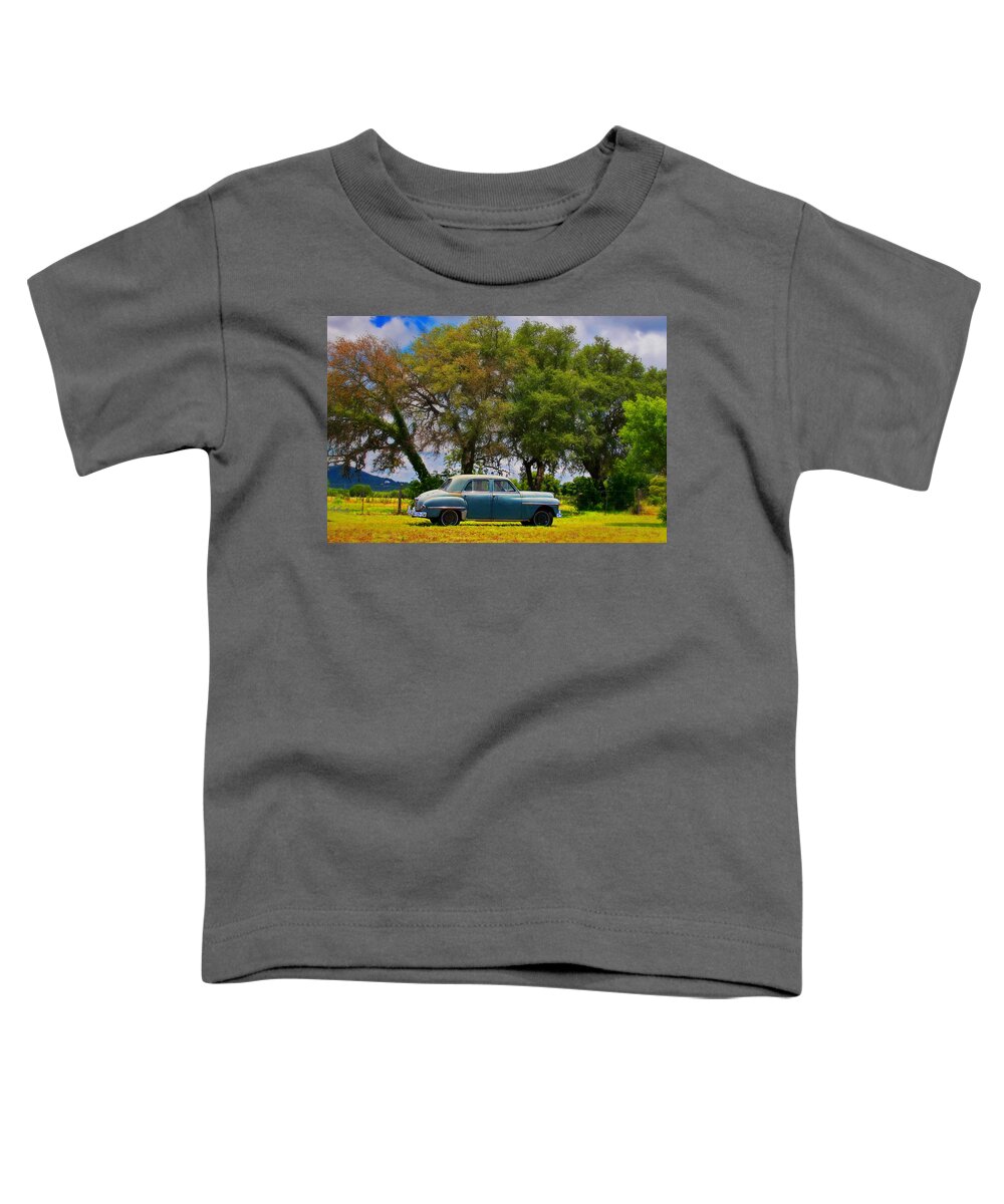 Landscapes Toddler T-Shirt featuring the photograph The Fall by Micah Offman