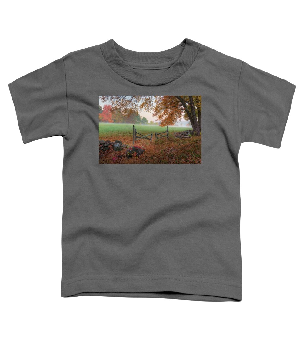 Gate Toddler T-Shirt featuring the photograph The Gate by Bill Wakeley