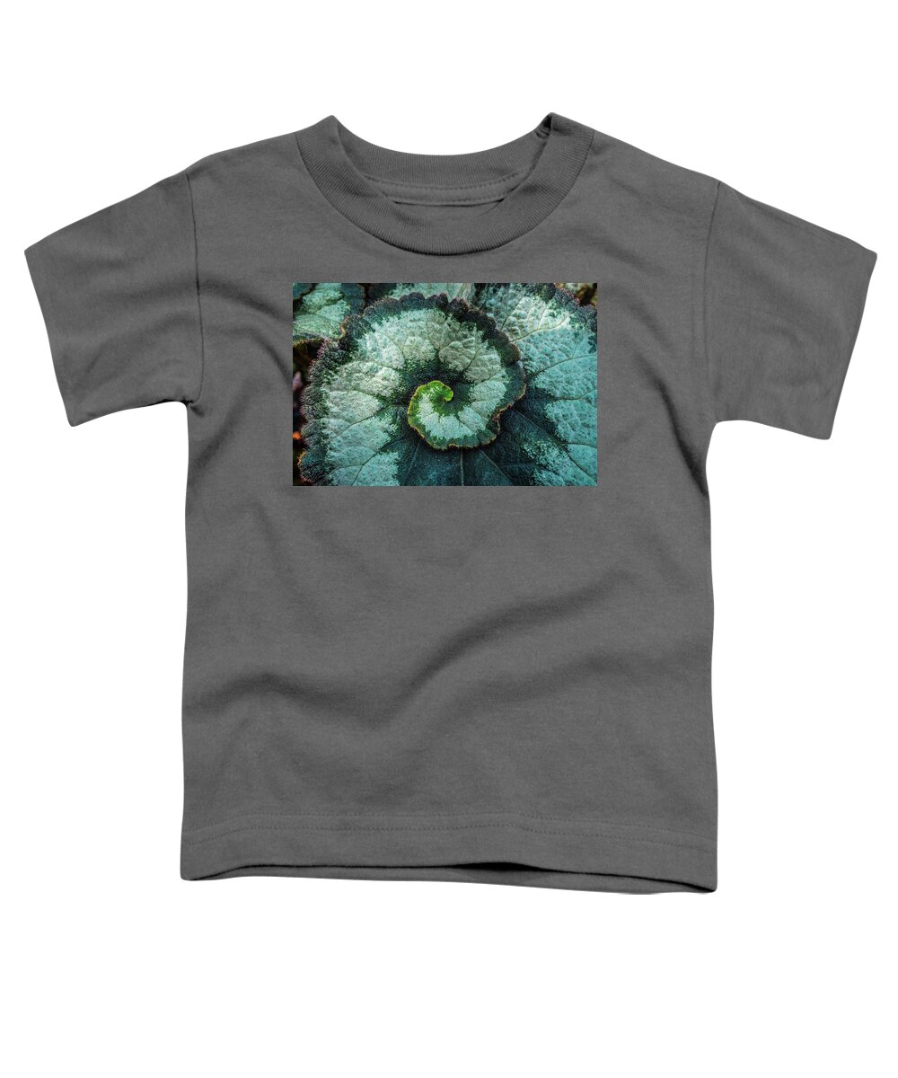 Leaf Toddler T-Shirt featuring the photograph The Golden Ratio of the leaf by Lilia S