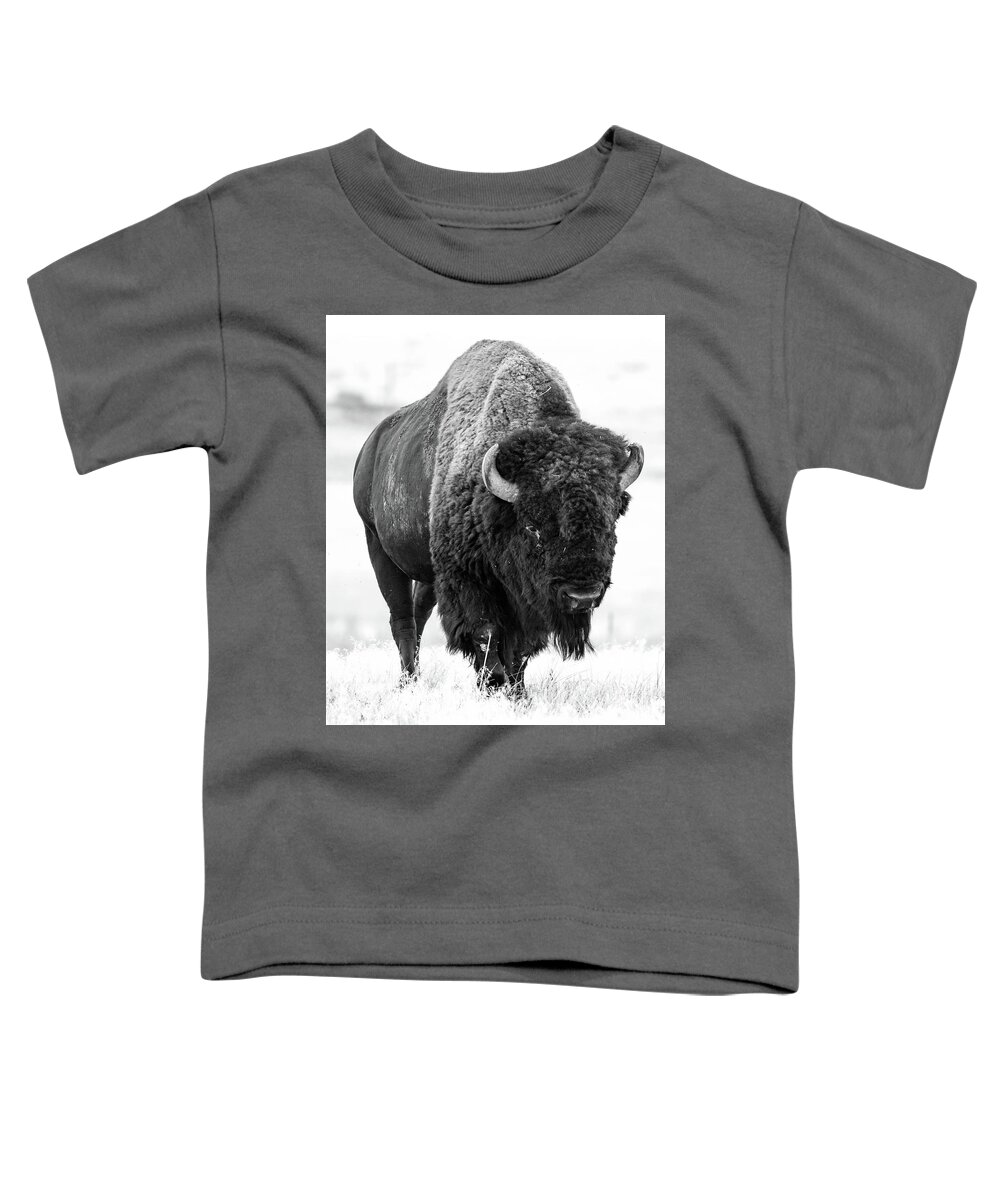 Grassland Toddler T-Shirt featuring the photograph The Great Plains by Jody Partin