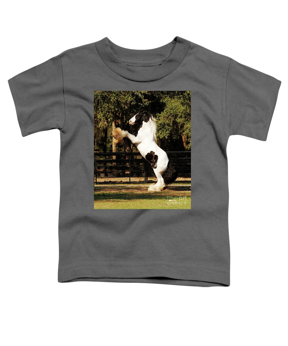 Gypsy Gold Gypsy Vanners Toddler T-Shirt featuring the photograph The Gypsy King by Carien Schippers