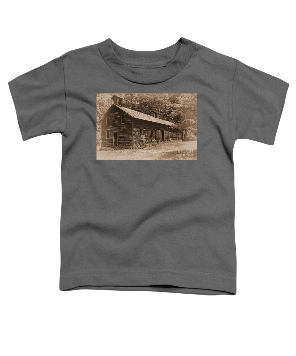 (peeling Paint Or Peeled Paint) Toddler T-Shirt featuring the photograph The Hog Barn by Debra Fedchin