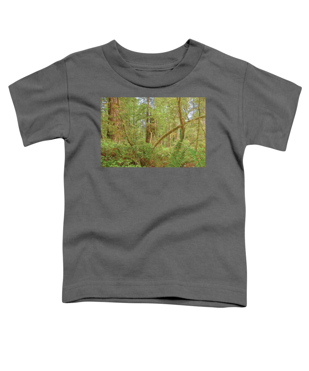 Landscape Toddler T-Shirt featuring the photograph The Land That Time Forgot by John M Bailey