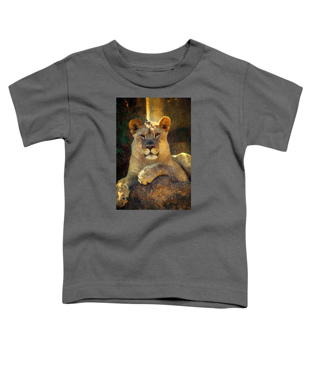 Lioness Toddler T-Shirt featuring the photograph The Look by John Rivera