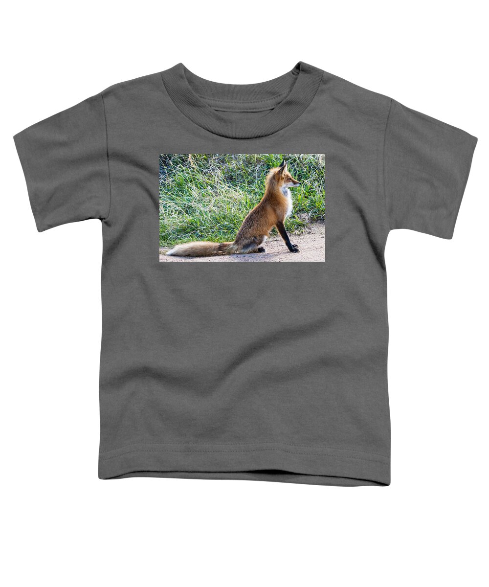 Red Fox Toddler T-Shirt featuring the photograph The Lookout by Mindy Musick King