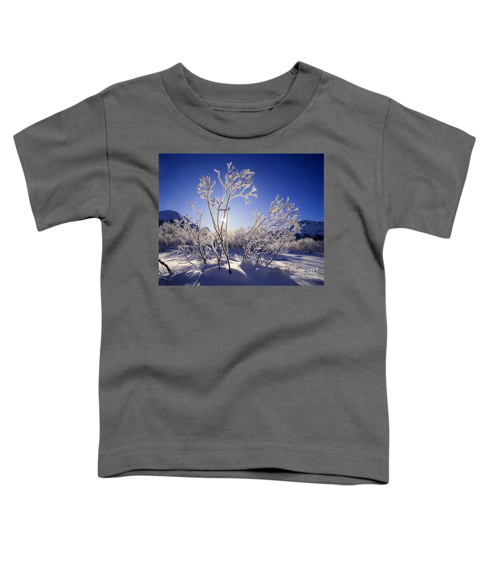 Nag950478 Toddler T-Shirt featuring the photograph The Magic of Sunlight by Edmund Nagele FRPS