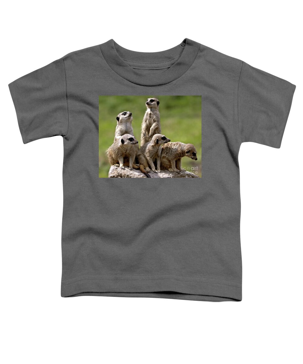 Animal Toddler T-Shirt featuring the photograph The Management by Baggieoldboy