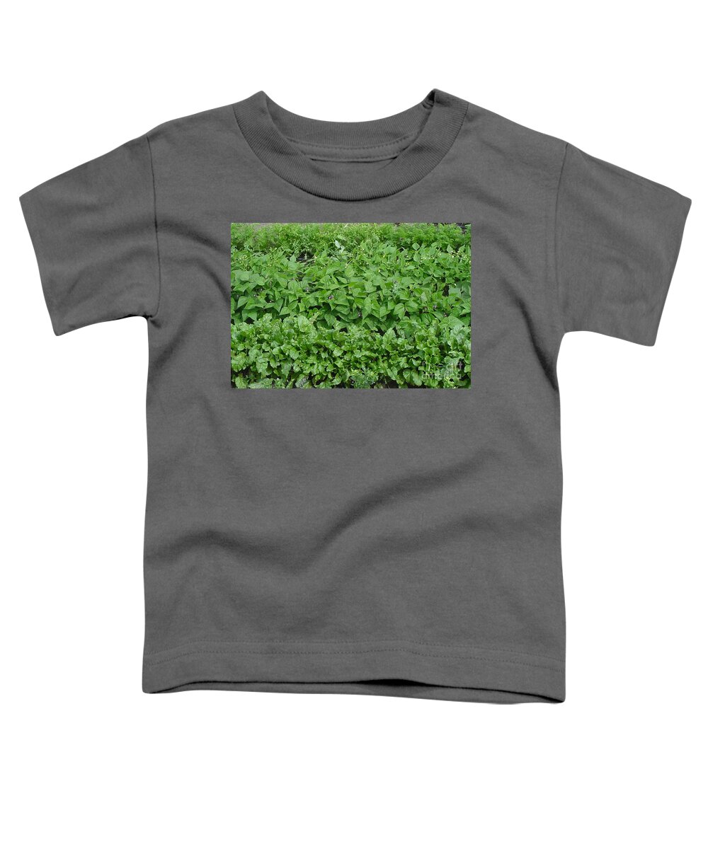 Garden Toddler T-Shirt featuring the photograph The Market Garden Landscape by Donna L Munro