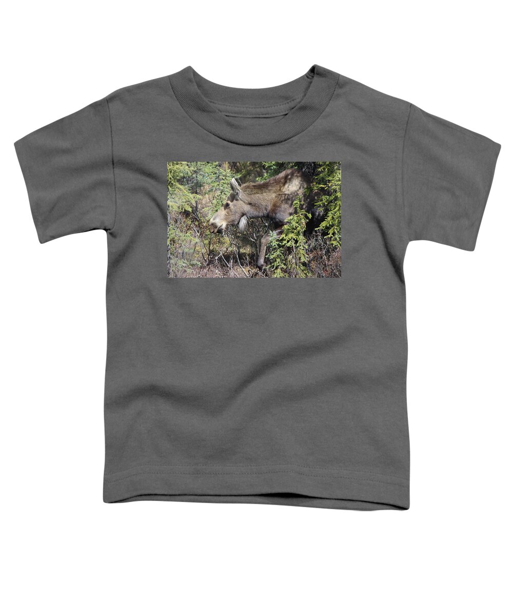 Moose Toddler T-Shirt featuring the photograph The Moose by John Mathews