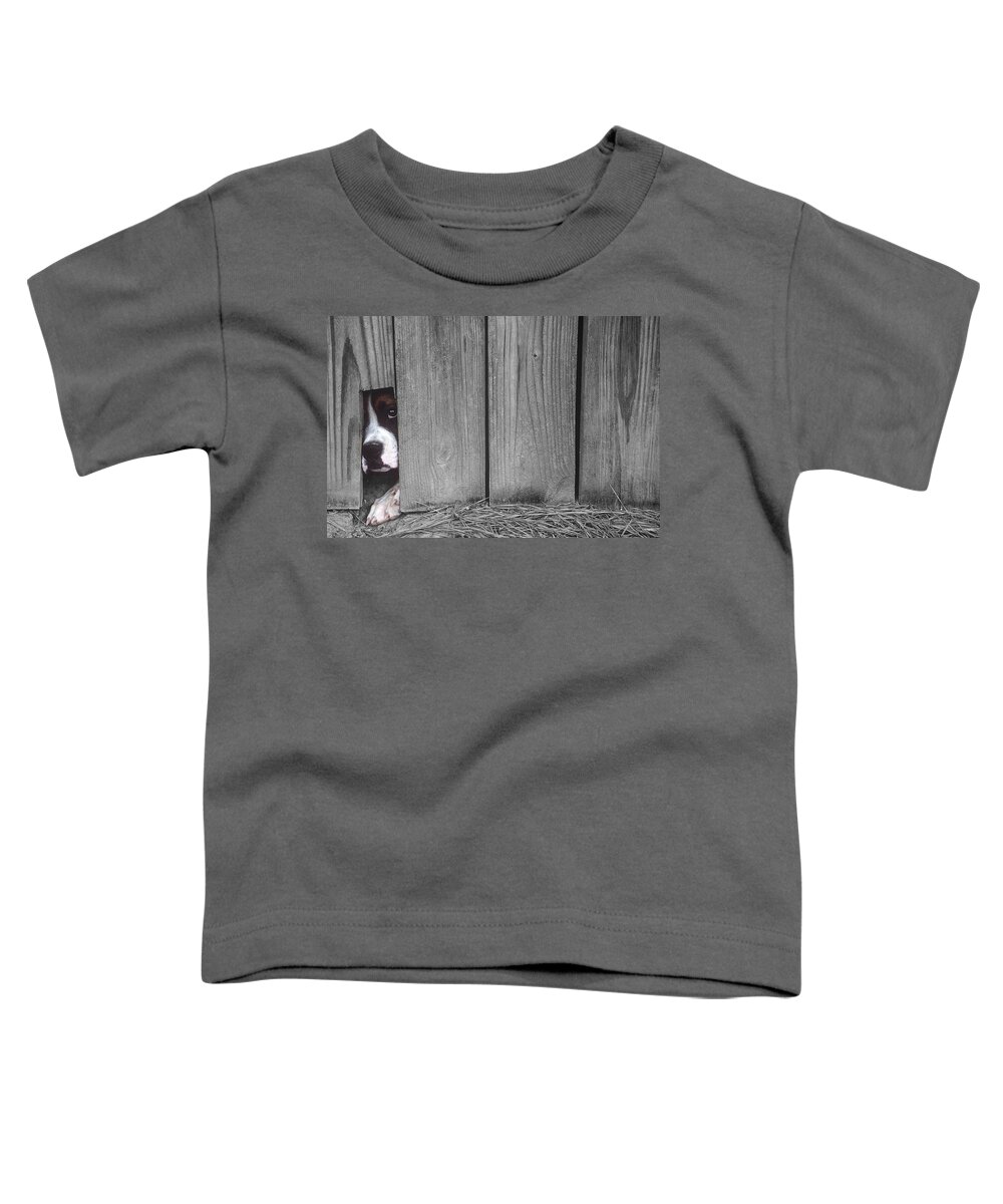 Escape Toddler T-Shirt featuring the photograph Captive by DArcy Evans