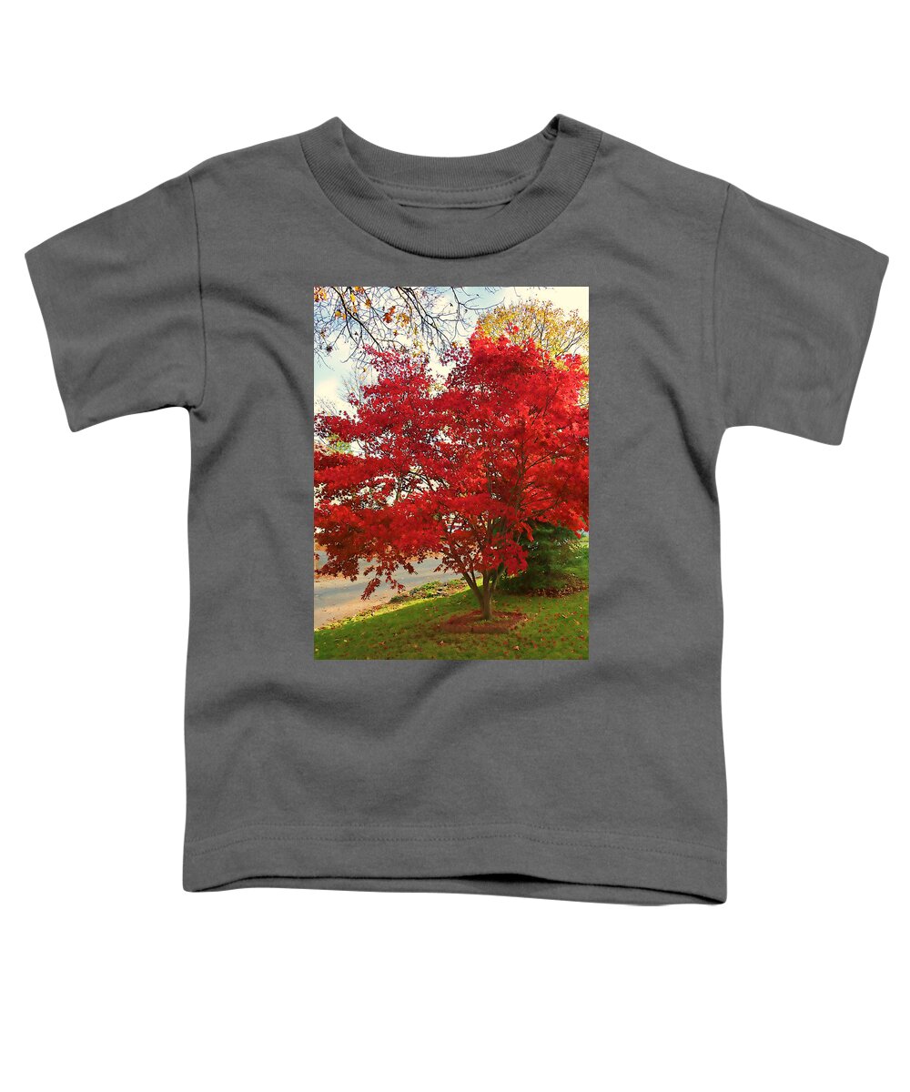Maple Tree Toddler T-Shirt featuring the photograph The Painted Leaves by Mike Smale