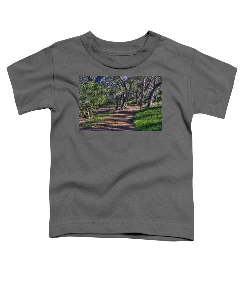 Path Toddler T-Shirt featuring the photograph The Path by Richard J Cassato