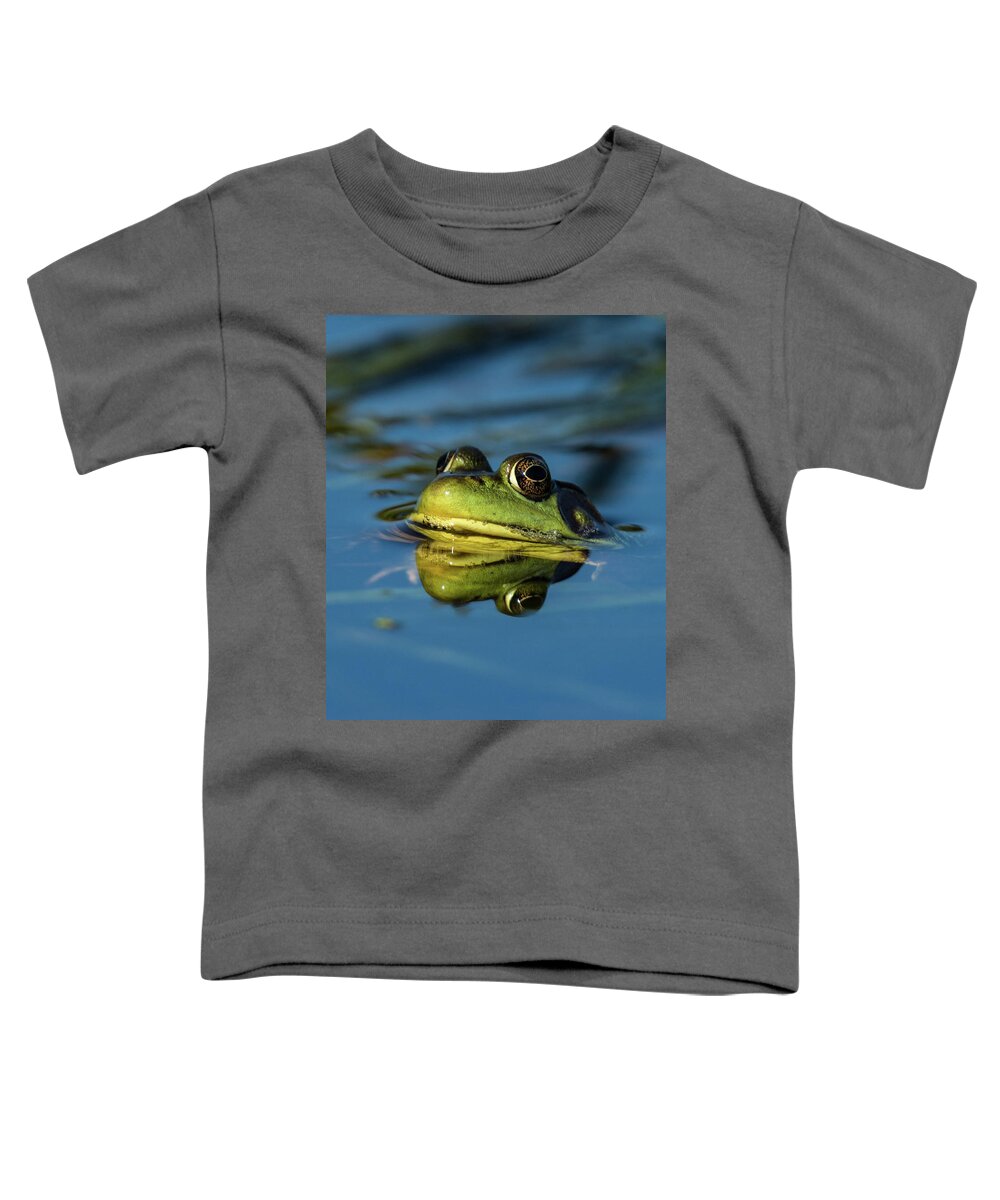 Frog Toddler T-Shirt featuring the photograph The Prince by Jody Partin