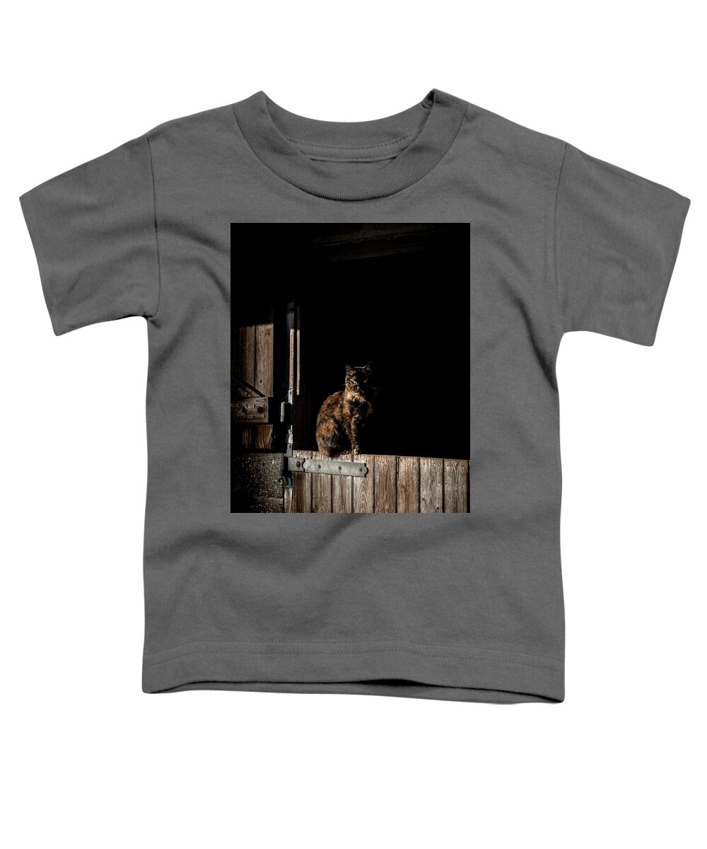 Cat Toddler T-Shirt featuring the photograph The Rat Catcher by Paul Neville