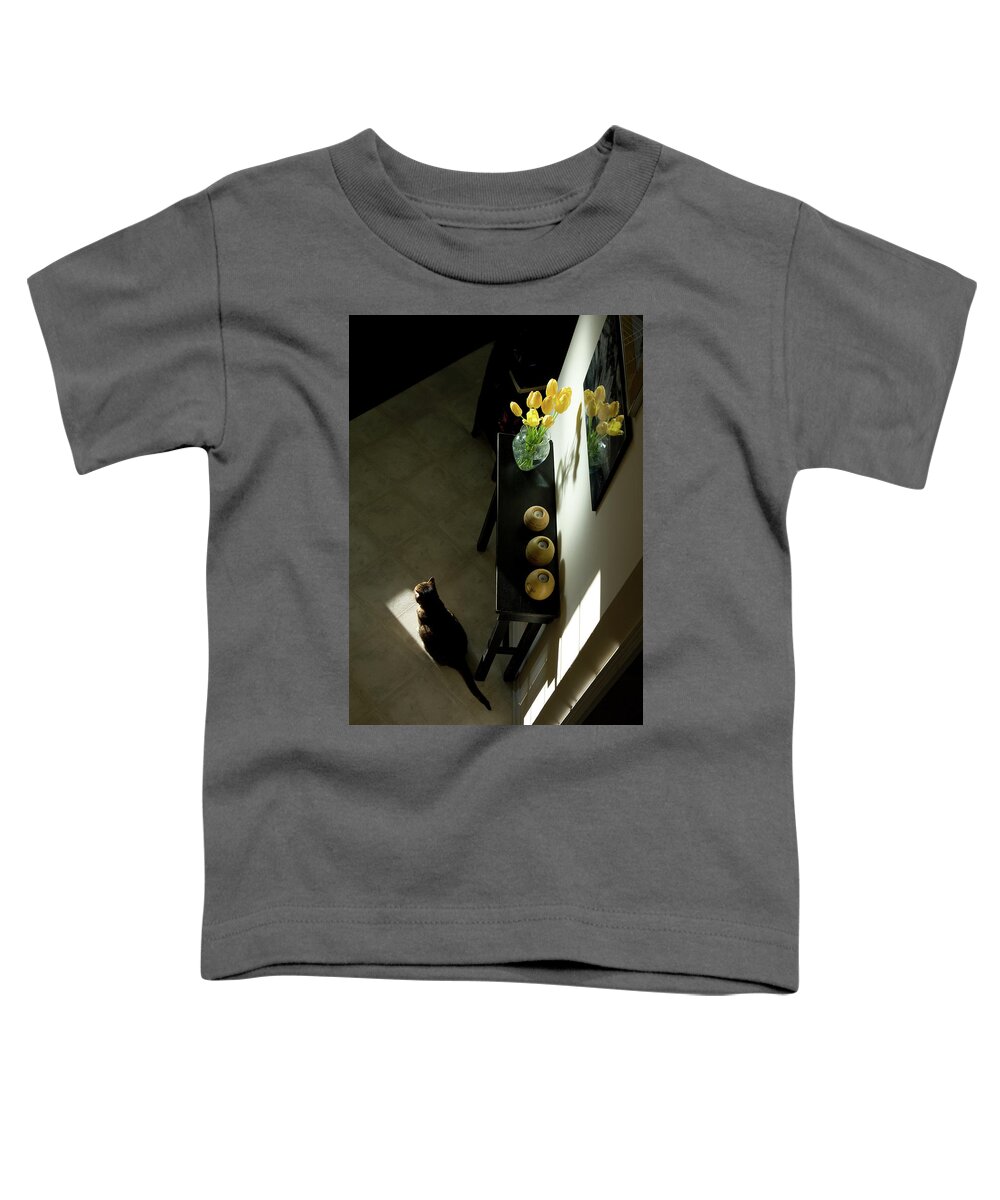 Cat Toddler T-Shirt featuring the photograph The Reception Hall by JGracey Stinson