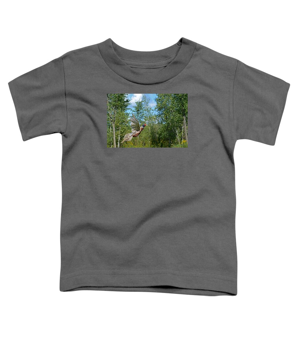 Ring-necked Pheasant Toddler T-Shirt featuring the photograph The Ring-necked Pheasant in take-off flight by Asbed Iskedjian