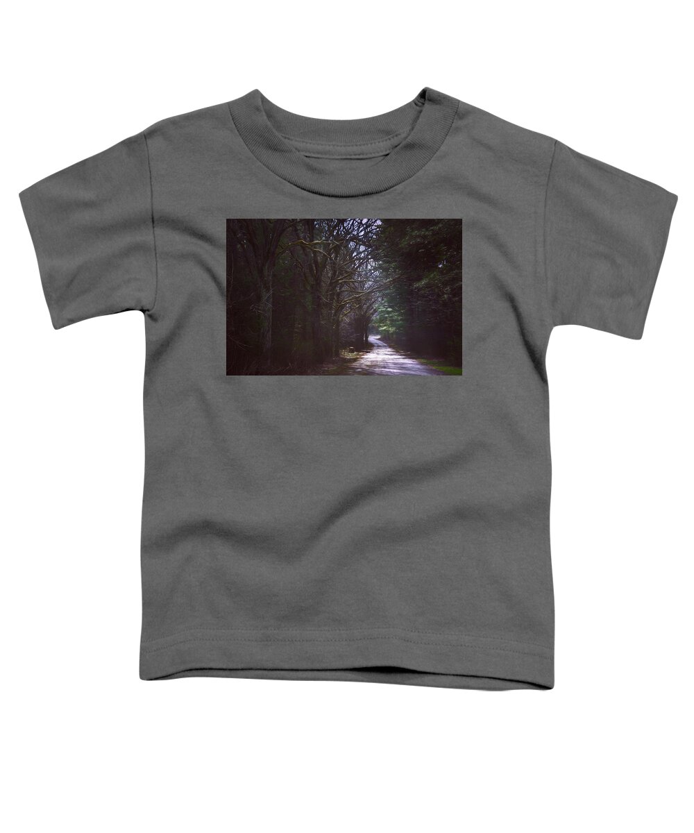 Landscape Toddler T-Shirt featuring the photograph The Road to Somewhere by Scott Norris